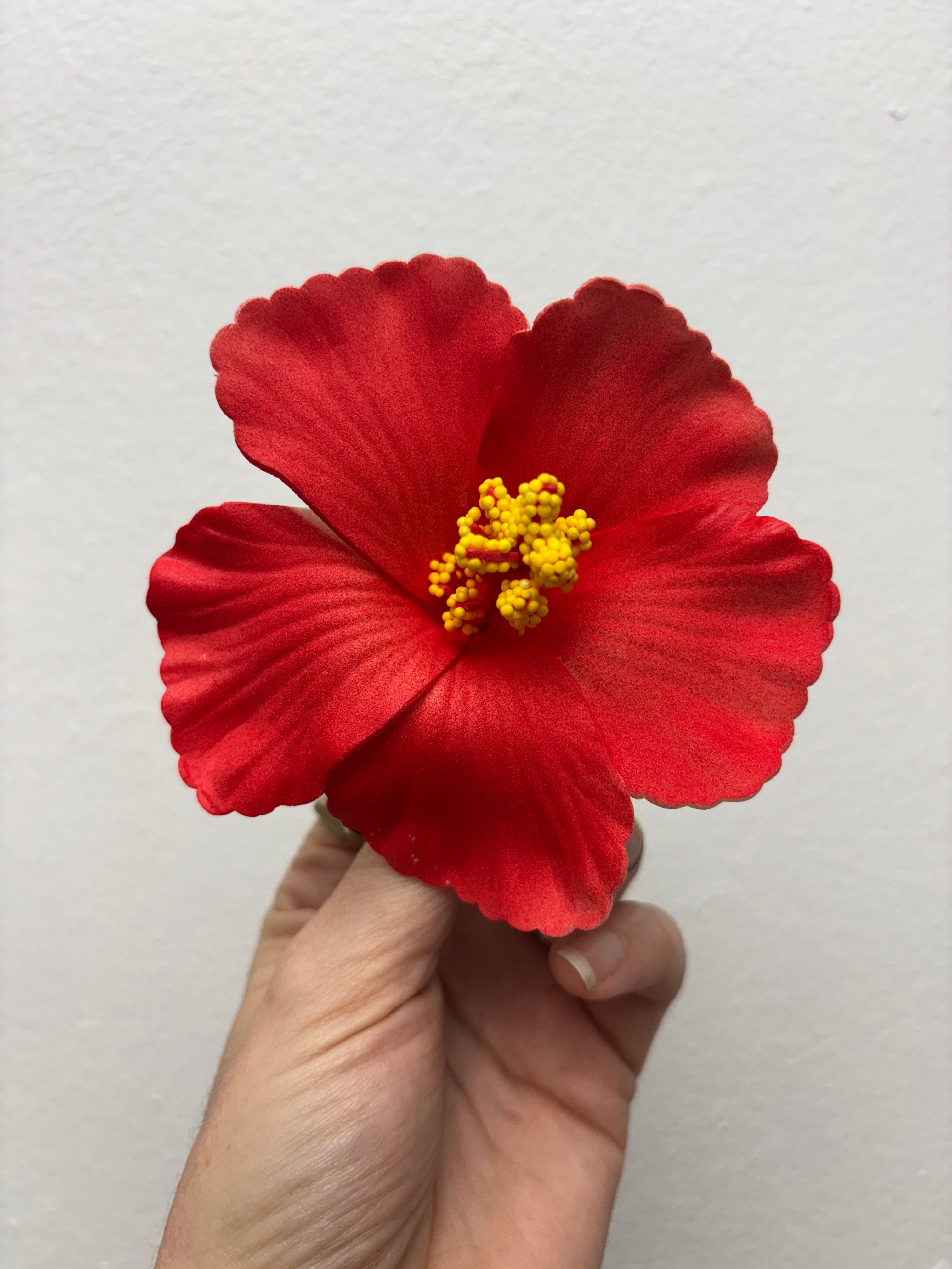 Amapola Roja Hair Clip