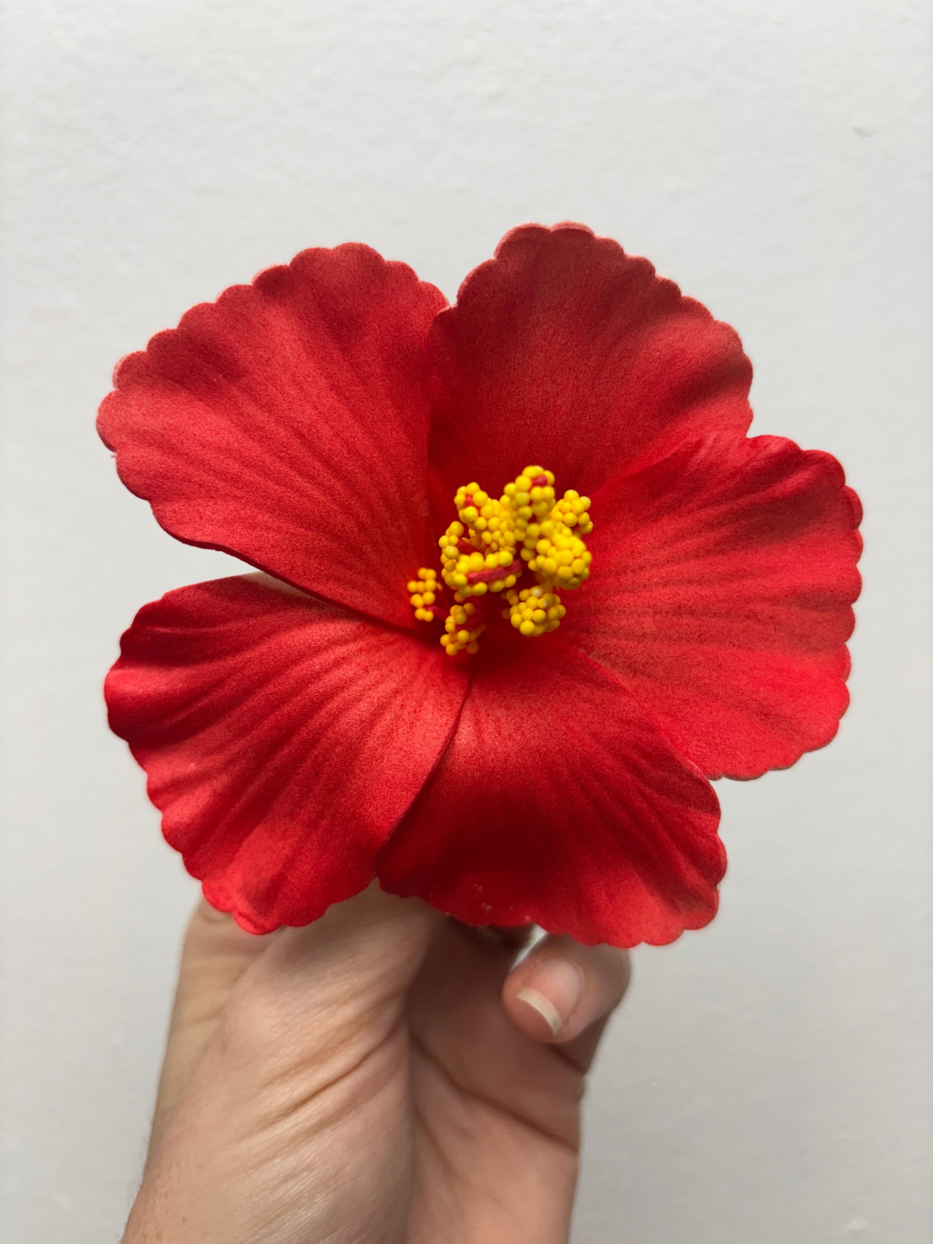 Amapola Roja Hair Clip