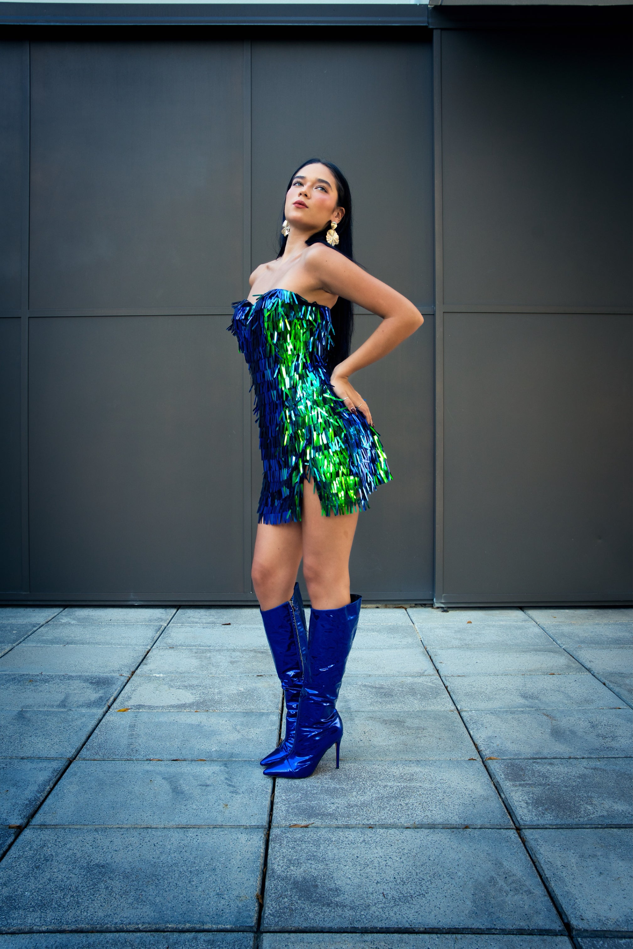 Holographic Sequins Dress Holographic Sequins Dress