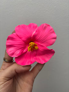 Amapola Hair Clip