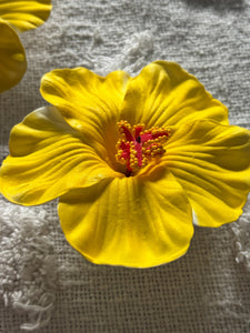 Amapola Amarilla (PRE ORDENA 8/06/25)