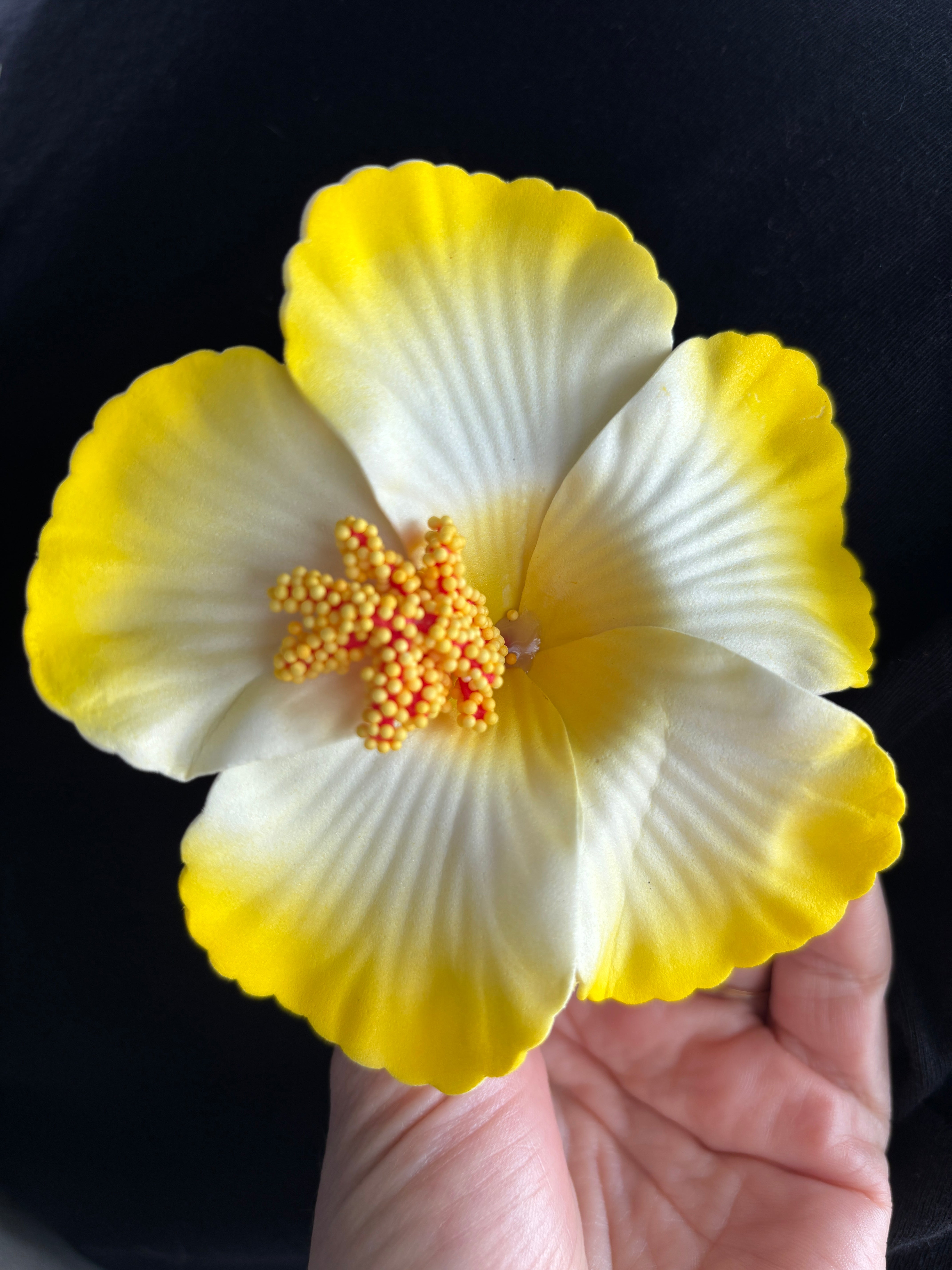 Amapola Hair Clips