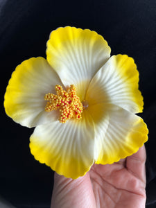 Amapola Hair Clips