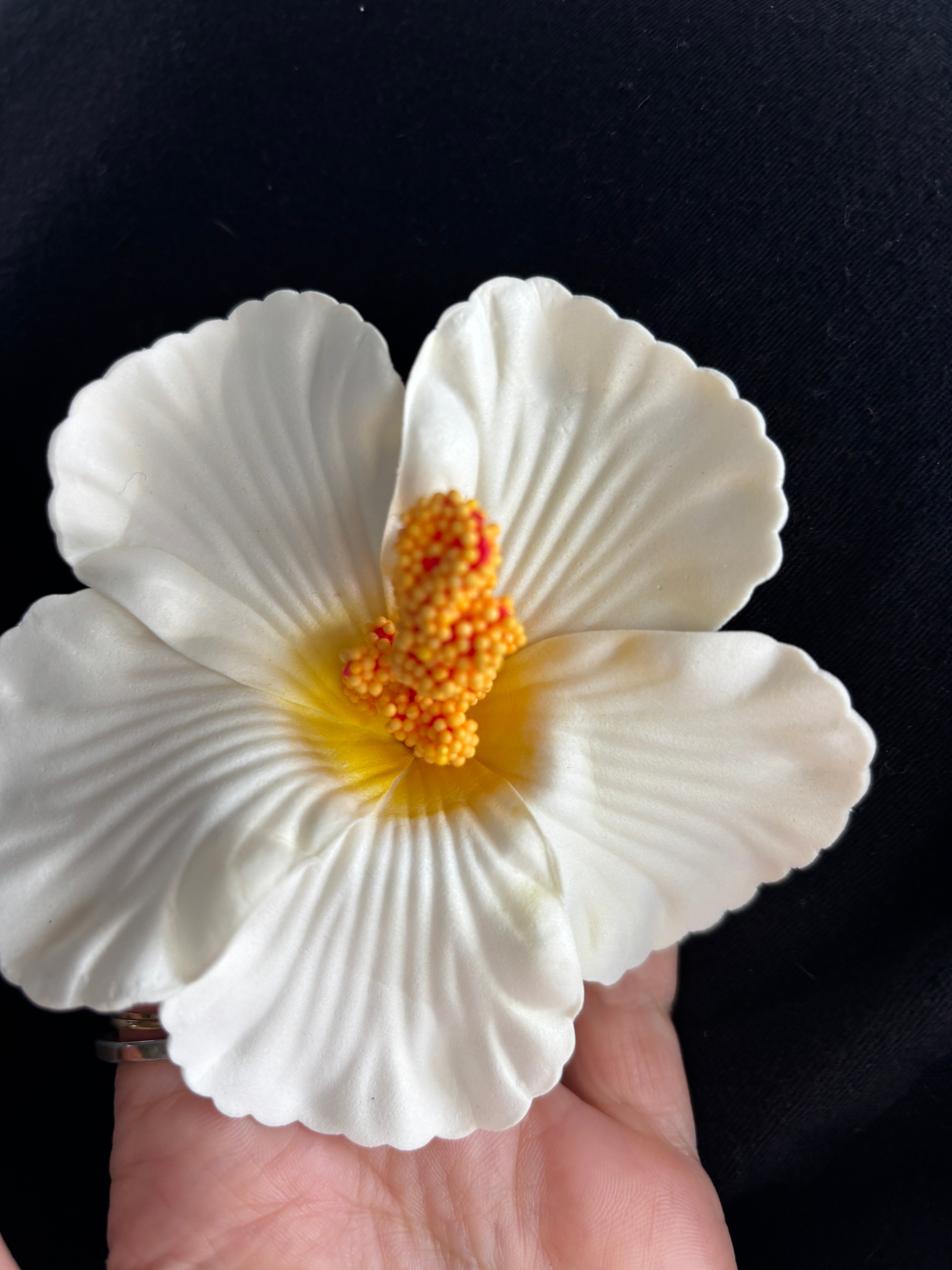 Amapola Blanca Hair Clip