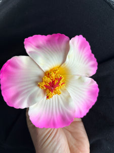Amapola Hair Clips