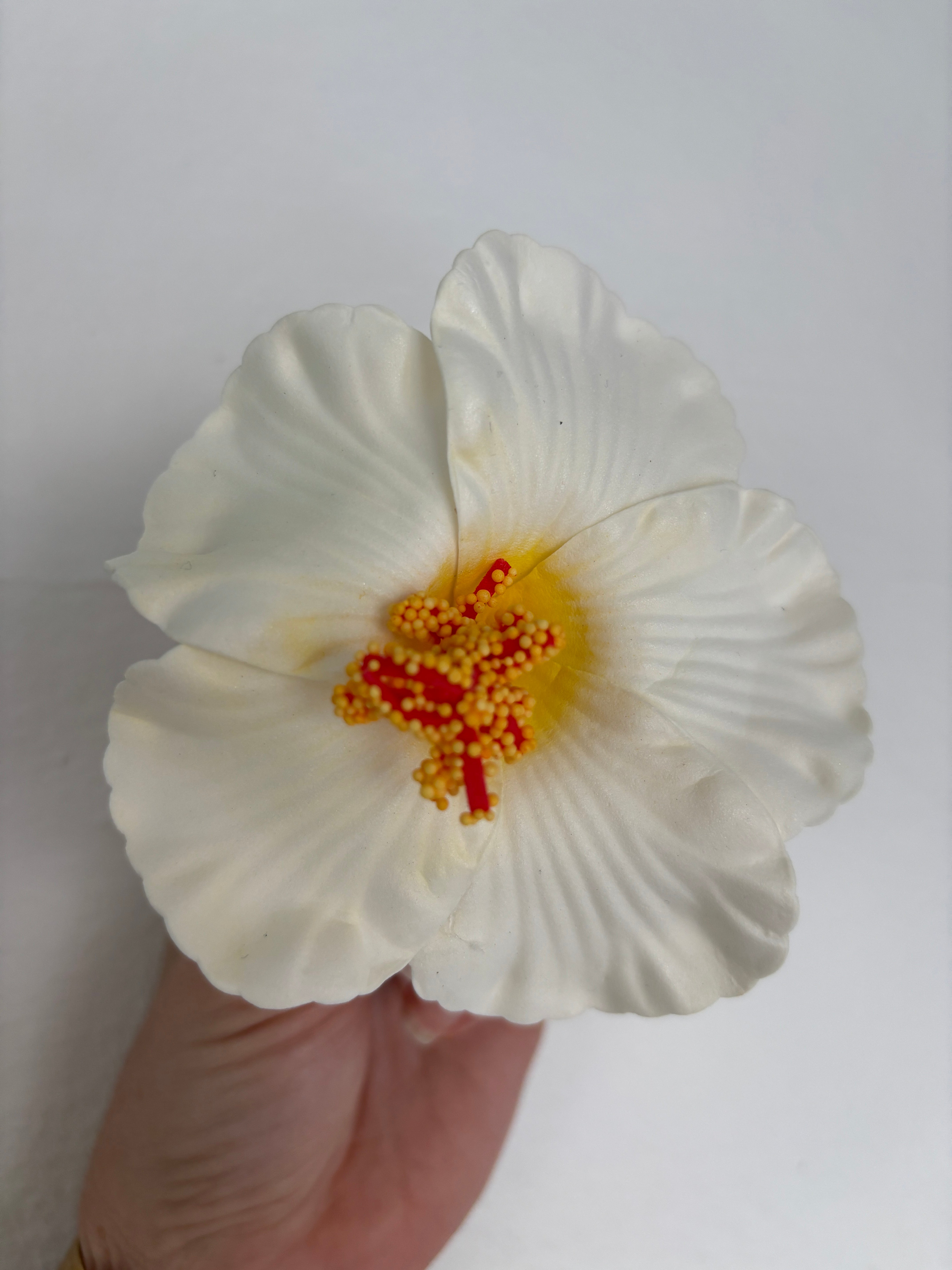 Amapola Blanca Hair Clip