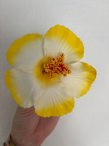 Amapola Hair Clips