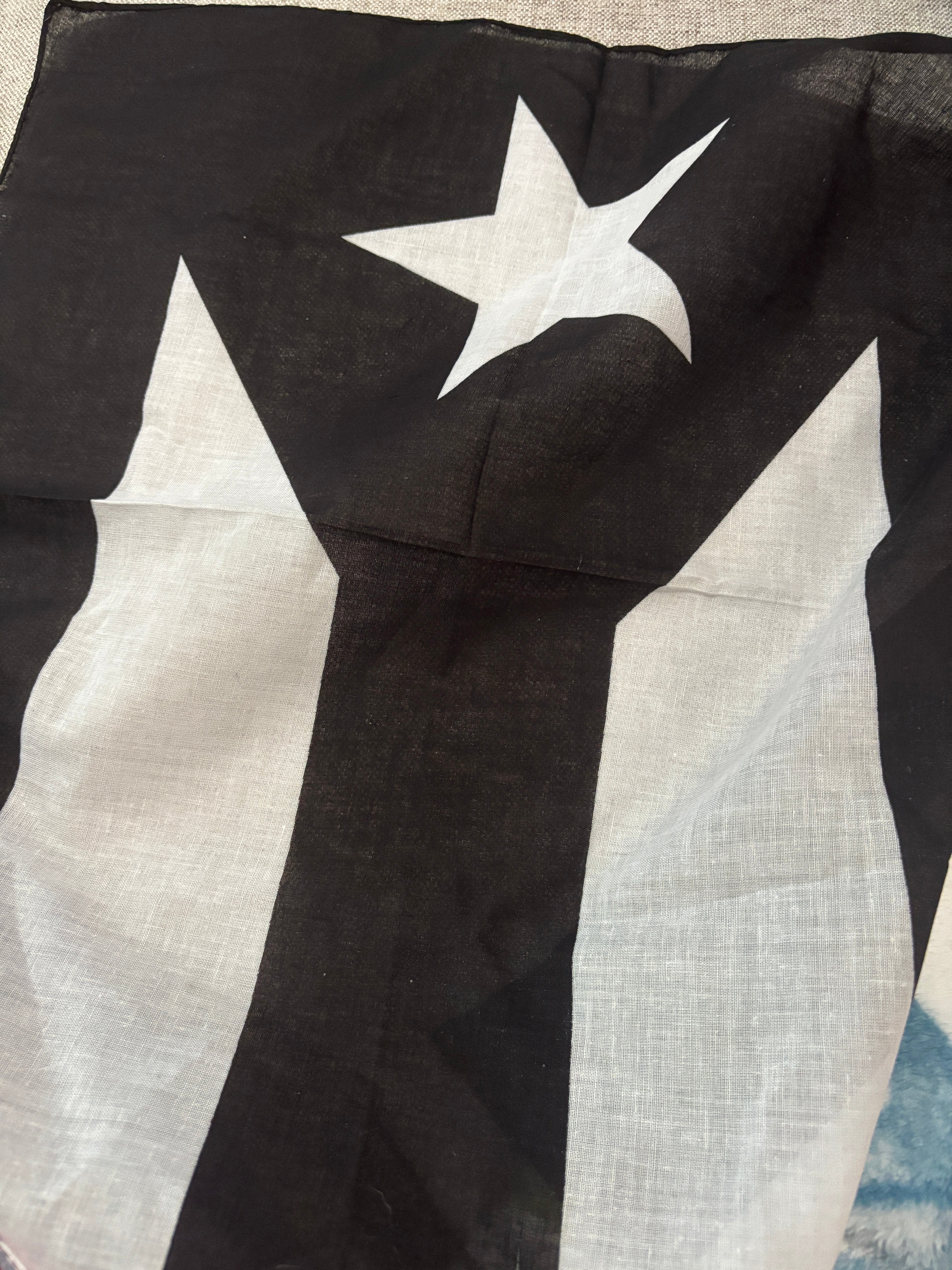 Puerto Rico Resitencia
