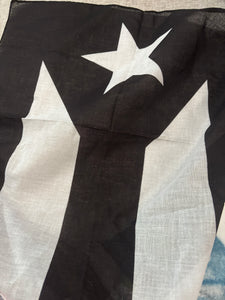 Puerto Rico Resitencia