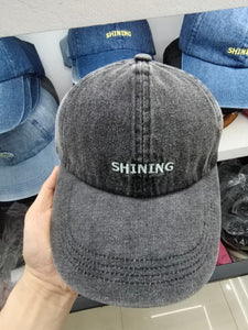 Shining Dad Hat