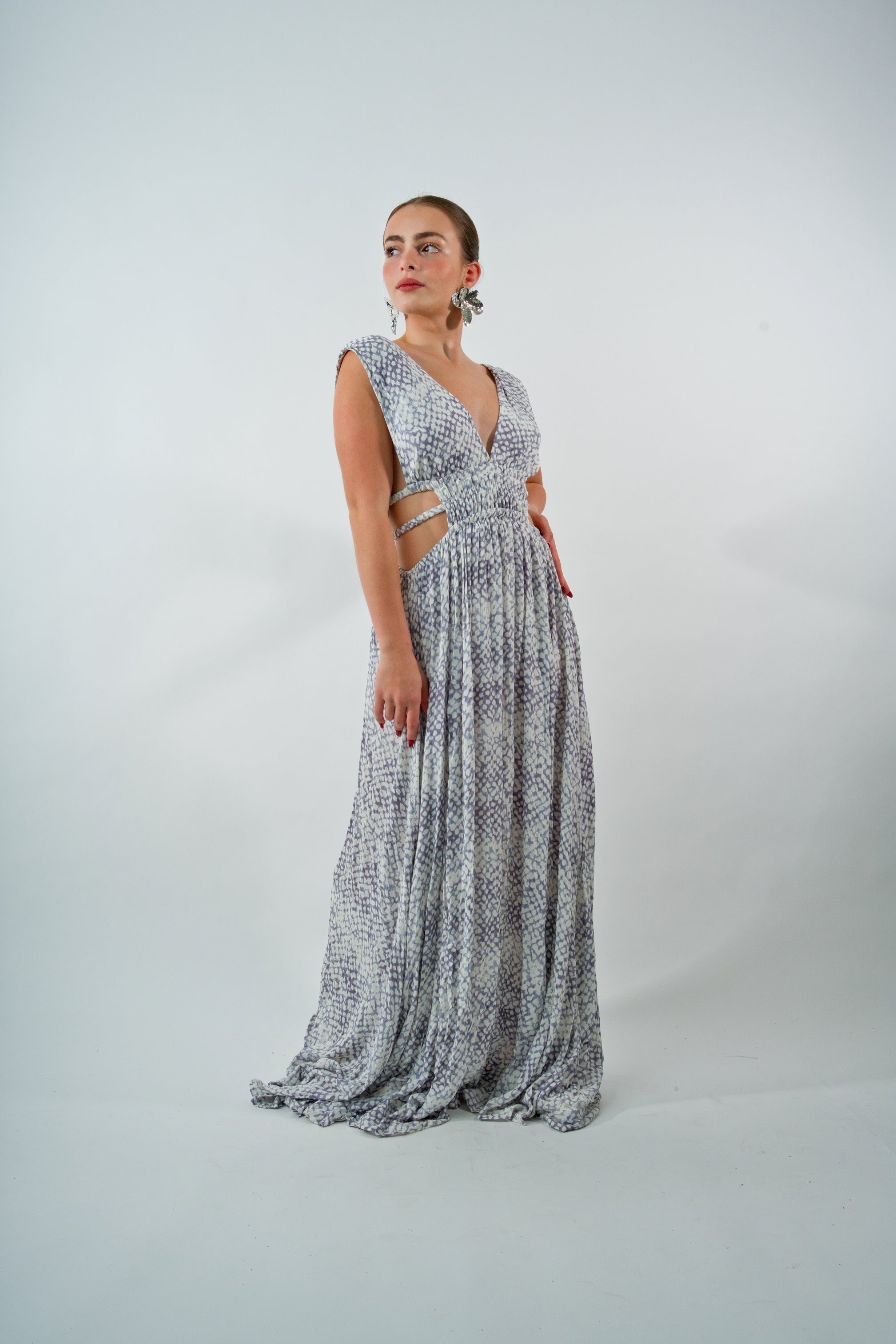 Roman Maxi Dress